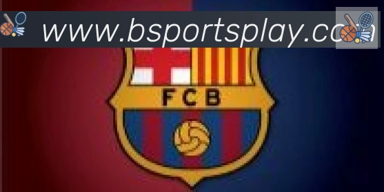 Bsports官网合作伙伴