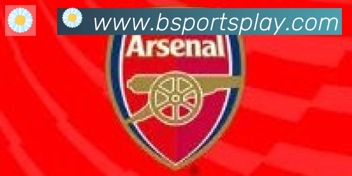 Bsports官网合作伙伴