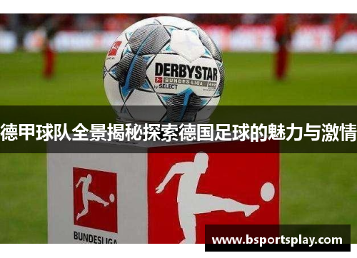 德甲球队全景揭秘探索德国足球的魅力与激情