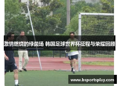 激情燃烧的绿茵场 韩国足球世界杯征程与荣耀回顾