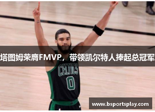 塔图姆荣膺FMVP，带领凯尔特人捧起总冠军