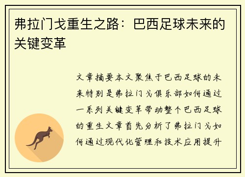 弗拉门戈重生之路：巴西足球未来的关键变革