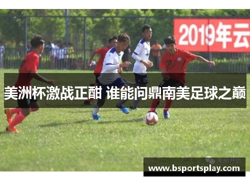 美洲杯激战正酣 谁能问鼎南美足球之巅