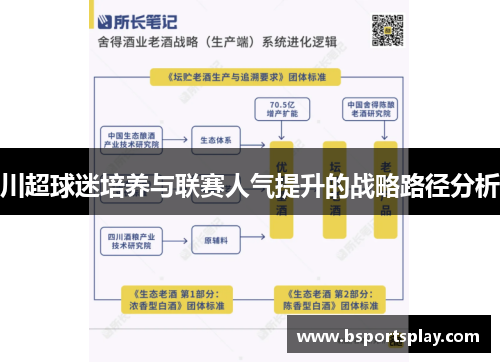 川超球迷培养与联赛人气提升的战略路径分析
