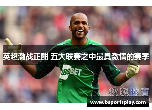 英超激战正酣 五大联赛之中最具激情的赛季